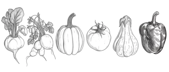 Deurstickers Hand-Sketched Vegetable Collection in Monochrome © evening_tao