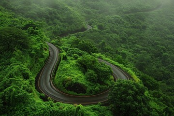 Bird's-eye view of a rain-kissed forest with a curved road amidst verdant trees, capturing serenity. - Powered by Adobe