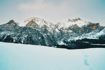 Cercles muraux Dent de lion et leau snow covered mountains