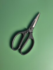 scissors on a green background