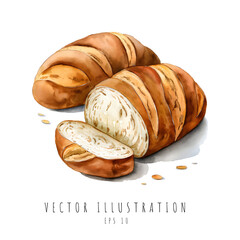 Sliced bread watercolor element, Vector illustration