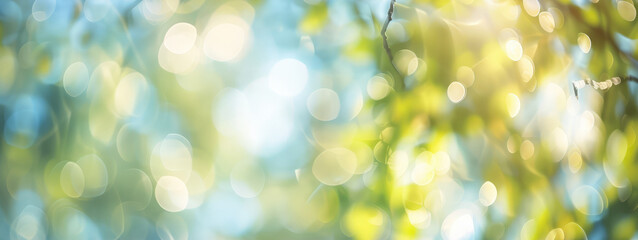 Fototapeta premium Sunlight Filtering Through Spring Leaves Bokeh