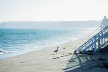 bridge on the beach