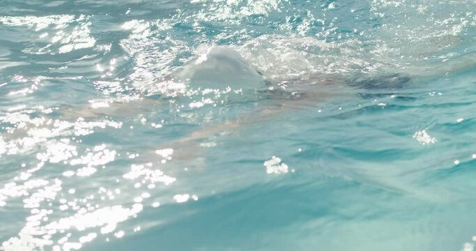 Swimmer woman jumps in swimming pool water swim breaststroke close up