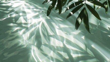 Tropical plants casting shadows on serene water surface, creating natural and tranquil background ideal for wellness and relaxation themes. Greenery and serenity. - obrazy, fototapety, plakaty