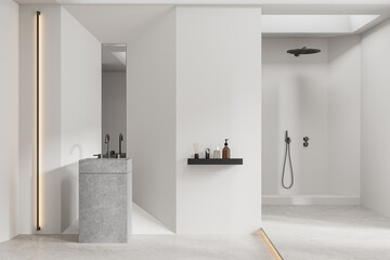 Fototapeta na wymiar Stylish home bathroom interior with sink and douche, accessories on shelf