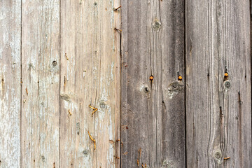brown wooden wall with nails on it
