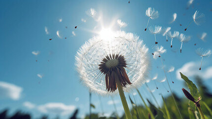 Dandelion With Seeds Blowing Away Blue Sky, generative ai