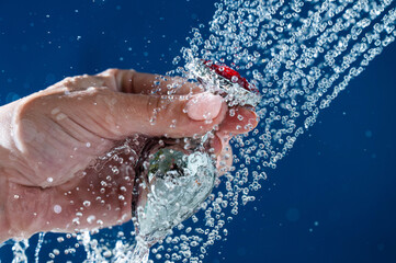 Woman washing silver butt plug under shower on blue background. 