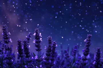 Raamstickers Abstract background with lavender flowers and starry night sky. 8k © Muhammad