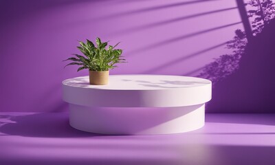 3d render of minimal product display podium with plant in pot.