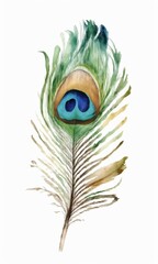 Fototapeta premium Watercolor peacock feather on white background. Hand drawn illustration.