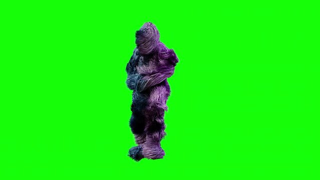 a dancing hairy monster. 3d animation of a hairy character on a green background. a dancing color changing monster. 3d blue and pink character dancing