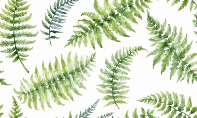 watercolor drawing of fern leaf on white background