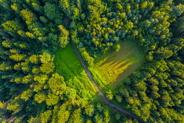 Zielone serce w lesie - obrazy, fototapety, plakaty