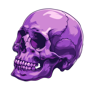 purple skull art illustrations for stickers logo poster etc
