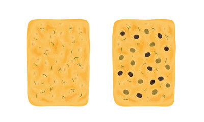 Focaccia with rosemary and olive. Hand drawn vector illustration. Top view.
