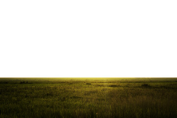 Empty grassland evening time PNG transparent background