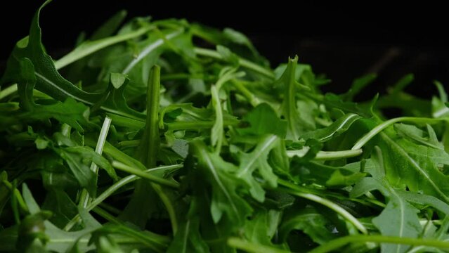 rucola on a wooden stick