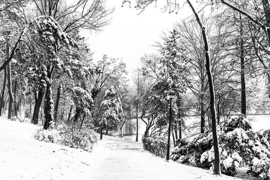 Winter snowy time in a park in Bucharest Romania black and white photography