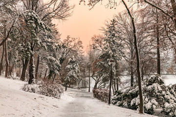 Winter snowy time in a park in Bucharest Romania sunset colors