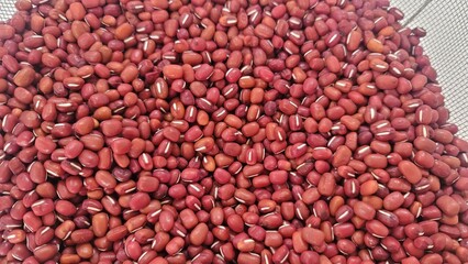 大納言小豆・乾燥豆／Dainagon, red beans, dried beans／큰 납언 · 팥 · 건조 콩
