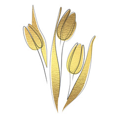 golden tulips lineart