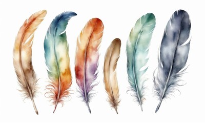 watercolor drawing. Multi-colored feathers on a white background