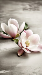 Close-up of pink magnolia flowers on a light gray concrete background, stylized, sepia, vertical frame.