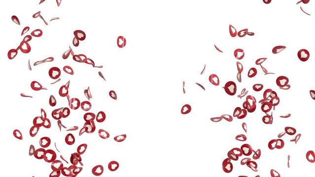 confettis en forme de c&oelig;urs rouges - couche alpha s&eacute;par&eacute;e - 4k - 60 fps - RENDU 3D