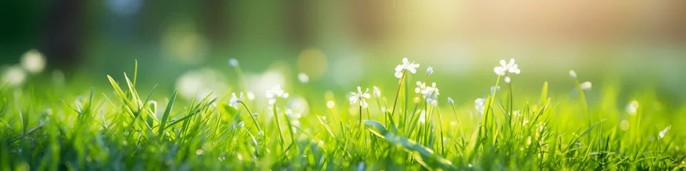 Poster Lush spring banner of nature beauty with white flowers in bright green grass © Artem81