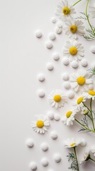 chamomile flowers background.