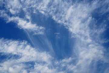 Scattered white cloud illuminated by morning soft light in blue sky atmosphere.