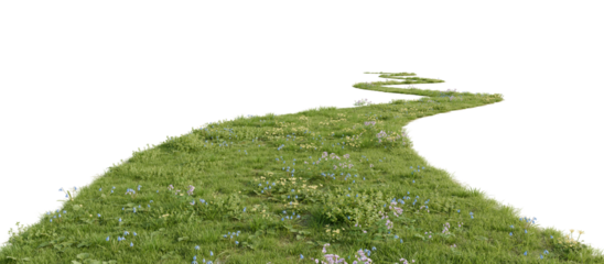 Grass path isolated on transparent background. 3D rendering.	
