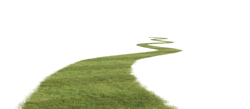 Grass path isolated on transparent background. 3D rendering.	
