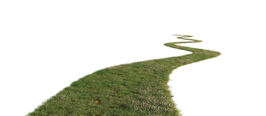 Grass path isolated on transparent background. 3D rendering.	
