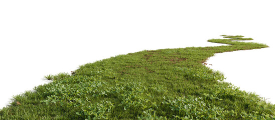 Grass path isolated on transparent background. 3D rendering.	
