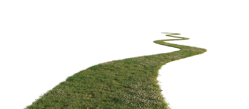 Grass path isolated on transparent background. 3D rendering.	
