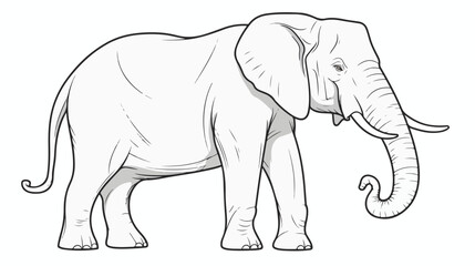 Elephant outline illustration on transparent.