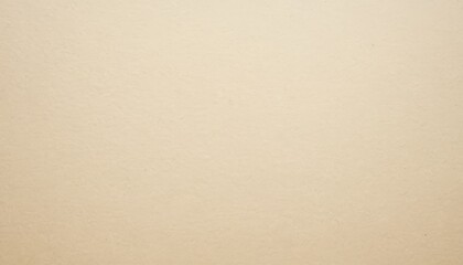 Fototapeta premium Light white recycled paper texture with copy space