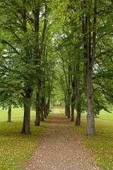 Naklejka premium Gravel path with planted trees at Hakunila manor park in cloudy autumn weather, Vantaa, Finland.