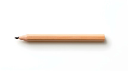 Obraz premium Light Brown Pencil on a white Background. Education Template with Copy Space