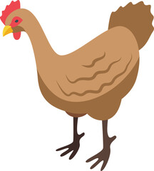 Chicken bird icon isometric vector. Farming production. Stable industry