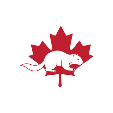 Canadian otter minimalist logo. 
Maple leaf with otter illustration.