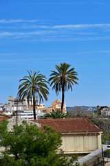 Fototapeta na wymiar Tarragona, dos palmeras