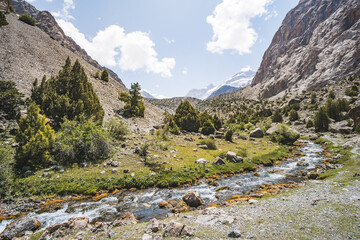 A mountain river flows in a valley in the Fann Mountains against the backdrop of rocky slopes and peaks with glaciers in Tajikistan, a mountain stream and a valley with vegetation
