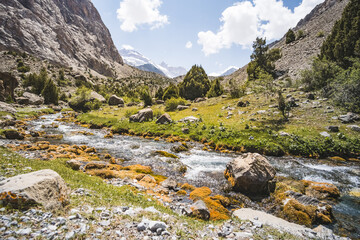 A mountain river flows in a valley in the Fann Mountains against the backdrop of rocky slopes and peaks with glaciers in Tajikistan, a mountain stream and a valley with vegetation
