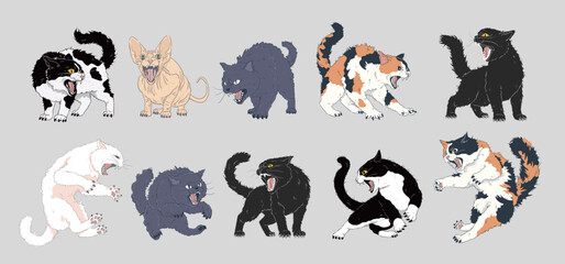 angery cat set, mad cat,baring teeth, displaying an angry and defensive posture, and arching back,Calico,White cat, Sphynx,Tuxedo, blue cat and black Cat. isolated on white background