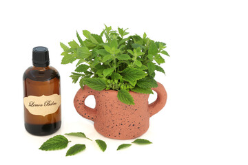 Lemon balm herb with essential oil bottle. Used in aromatherapy and natural herbal medicine to relieve anxiety, stress and improve gut health. On cream background. Melissa officinalis