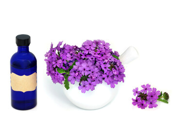Verbena herb flowers and aromatherapy essential oil bottle used in herbal medicine as a sedative, treats insomnia, depression, arthritis and heart conditions. On white. Verbena bonariensis. - 754212936